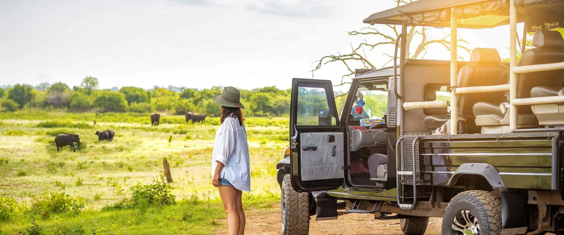 Embark on a Safari