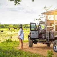 Embark on a Safari