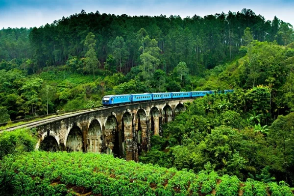 Ride the Scenic Train to Ella