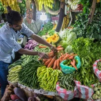Experience Local Markets