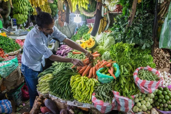Experience Local Markets