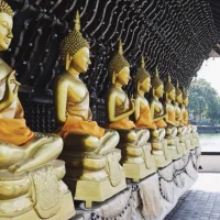 Classic of Sri Lanka